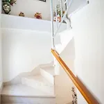 Apartment Ivomar